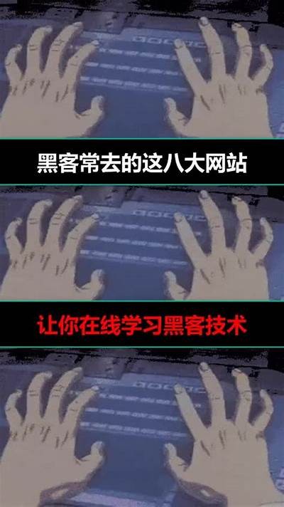 24小时黑客在线接单专业高效技术支持「24小时黑客在线查询」