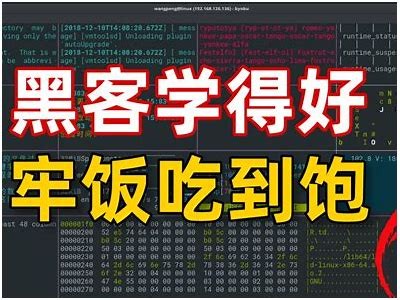 寻找黑客高手最佳平台揭晓「寻找黑客高手联系方式?求黑客高手联系方式」